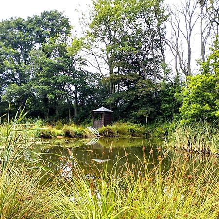Charming Tranquil Shepherds Hut With Lakeside Balcony 'Roach' Uckfield Bagian luar foto